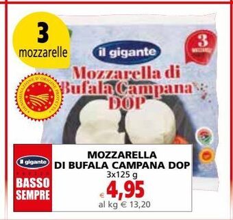Il Gigante Mozzarella di bufala campana dop offerta