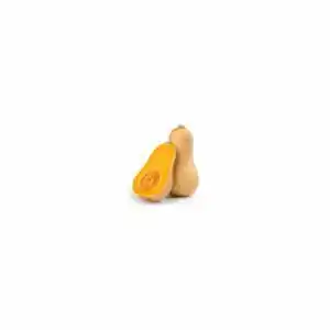Zucca violina