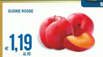 MD Discount Susine Rosse offerta