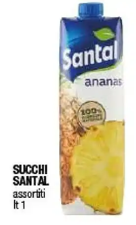 Iperal Santal 100% Ananas 1000 G(ml) offerta