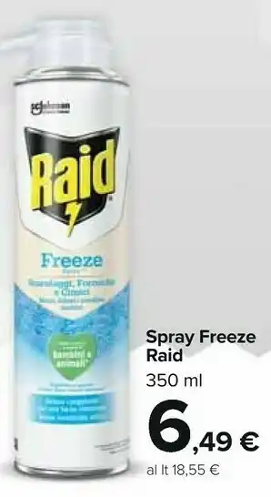 Carrefour Market Raid Spray Freeze offerta