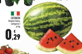 Cocomero