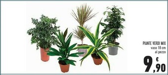Conad Piante Verdi Mix Vaso 18 Cm offerta