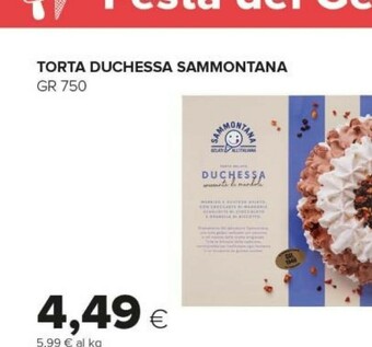 Tigre Sammontana Torta gelato offerta