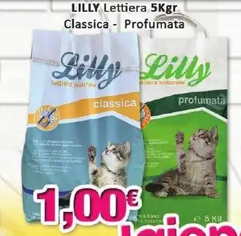 Lilly Lettiera 5Kgr Classica - Profumata