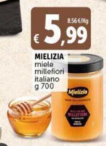 Deco Supermercati Mielizia miele millefiori italiano g 700 offerta