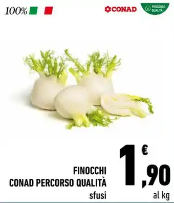 Conad Conad Percorso Qualità Finocchi offerta
