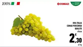 Conad Conad Percorso Qualità Uva Italia sfusa offerta