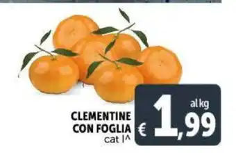 Deco Supermercati Clementine Con Foglia cat offerta