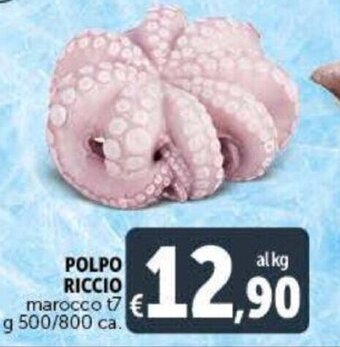 Deco Supermercati Polpo Riccio Marocco T7 g 500/800 ca. offerta