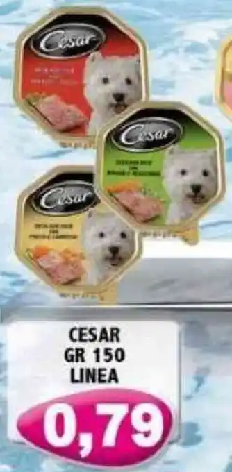 Cesar gr 150 Linea