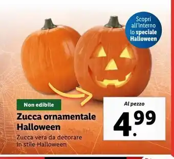 Lidl Zucca ornamentale halloween offerta
