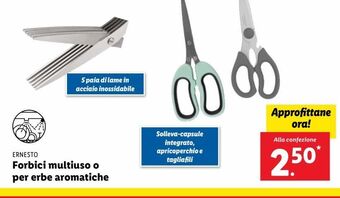 Forbici multiuso o per erbe aromatiche
