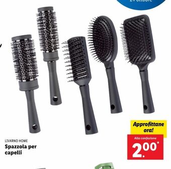 Lidl Spazzola per capelli offerta