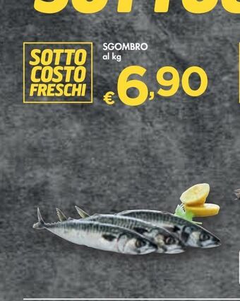 Bennet Sgombro offerta