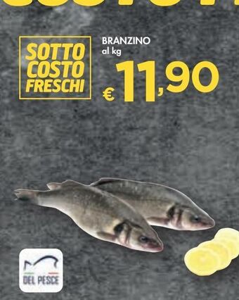 Bennet Branzino offerta
