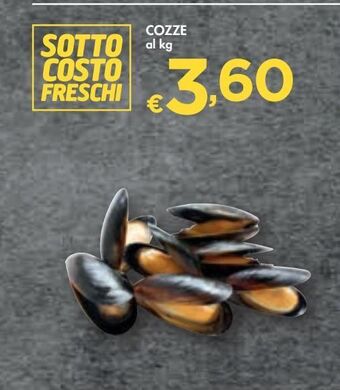 Bennet Cozze offerta