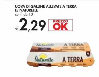 Bennet Uova di galline allevate a terra le naturelle cond da 10 offerta