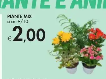 Bennet Piante mix cm 9/10 offerta