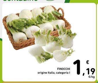 Finocchi