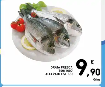 Spazio Conad Orata fresca 800/1000 allevato estero offerta