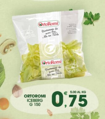 SeBón Supermercati Ortoromi Iceberg g 150 offerta