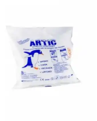Artic ghiaccio istantaneo 1 busta pvc