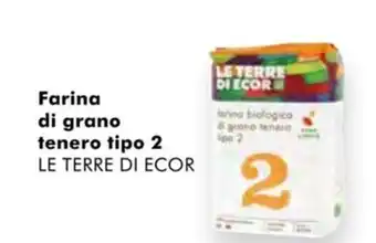 Le Terre di Ecor Farina di grano tenero tipo 2