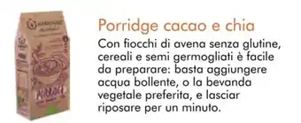 Porridge cacao e chia