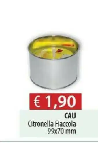 Acqua & Sapone Cau Citronella Fiaccola offerta