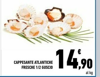 Conad Cappesante Atlantiche Fresche 1/2 Guscio offerta