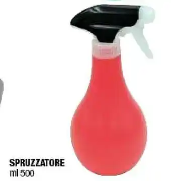 Spruzzatore