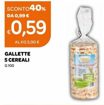 Ekom Gallette 5 Cereali G 100 offerta