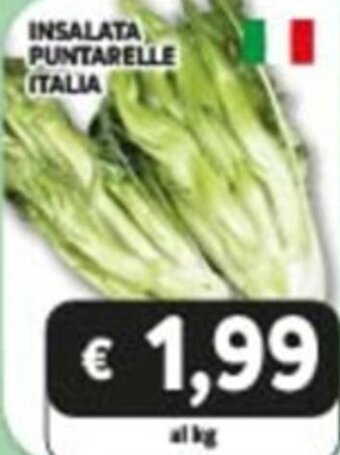 Insalata Puntarelle Italia