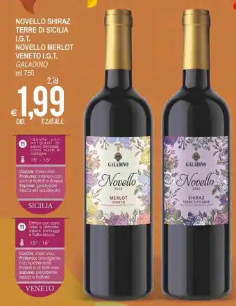 MD Discount Galadino Novello Shiraz Terre di Sicilia I.G.T. Novello Merlot Veneto I.G.T. ml 750 offerta