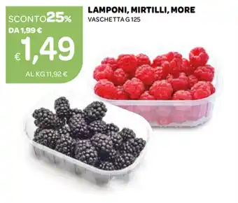 Lamponi, Mirtilli, More 125g
