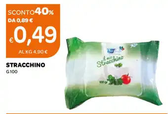 Ekom Stracchino 100g offerta