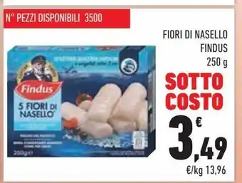 Conad City Fiori di nasello findus offerta