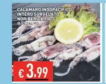 Ingrande Calamaro indopacifico intero surgelato noriberica 900 g offerta