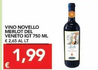 TuoDi Vino novello merlot del veneto igt offerta