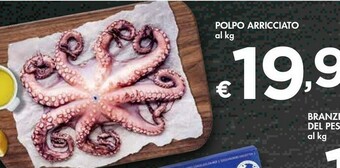 Bennet Polpo Arricciato offerta