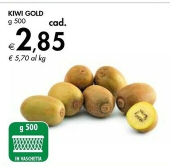 Bennet Kiwi Gold offerta