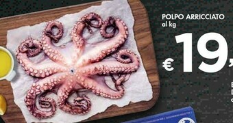 Bennet Polpo Arricciato offerta