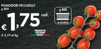 Bennet Pomodori Piccadilly offerta