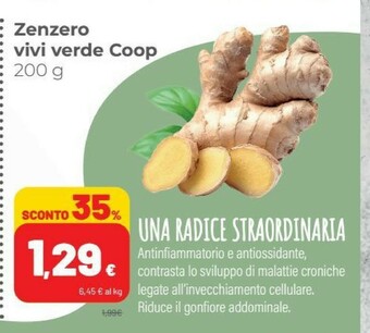 Coop Coop - Zenzero Vivi Verde offerta