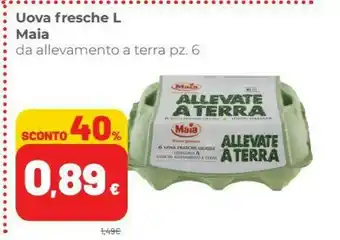 Maia 6 Uova Fresche Grandissime Allevate A Terra