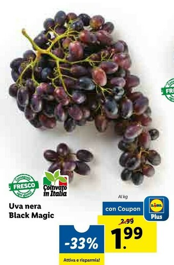 Lidl Uva Nera Black Magic offerta