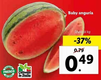 Lidl Baby Anguria offerta