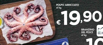 Bennet Polpo Arricciato offerta
