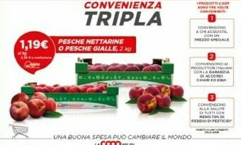 Coop Pesche offerta